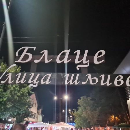 Domacinstvo Trifunovic Apartment Pretresnja Ngoại thất bức ảnh