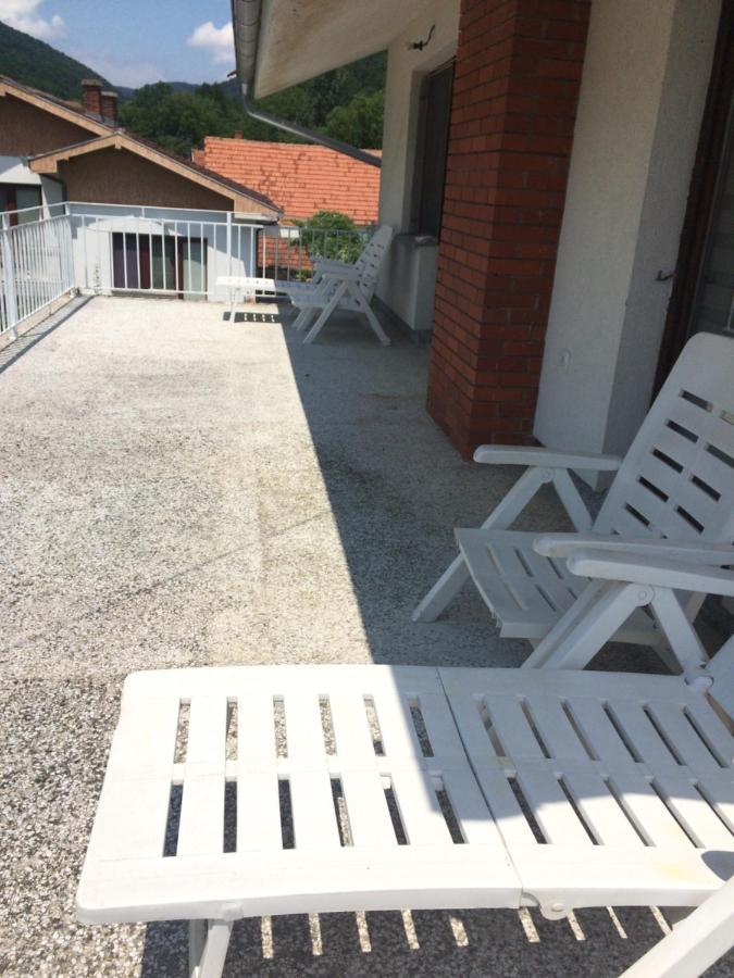 Domacinstvo Trifunovic Apartment Pretresnja Ngoại thất bức ảnh