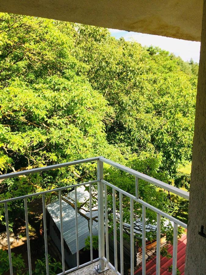 Domacinstvo Trifunovic Apartment Pretresnja Ngoại thất bức ảnh