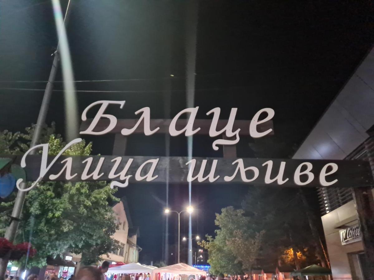 Domacinstvo Trifunovic Apartment Pretresnja Ngoại thất bức ảnh